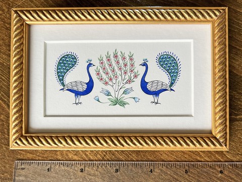 2 Peacocks by Helen White RMS